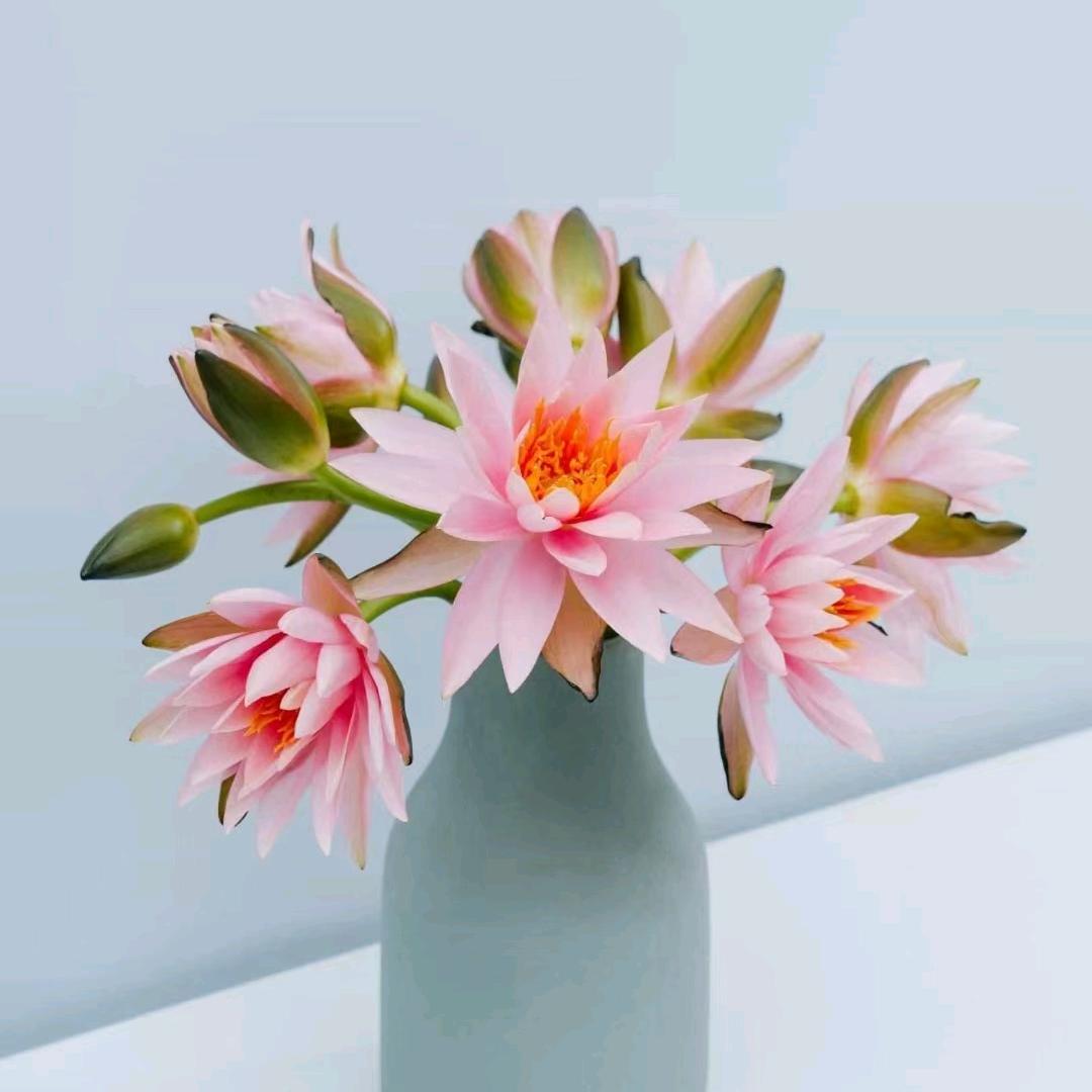 开心美天Happy every day