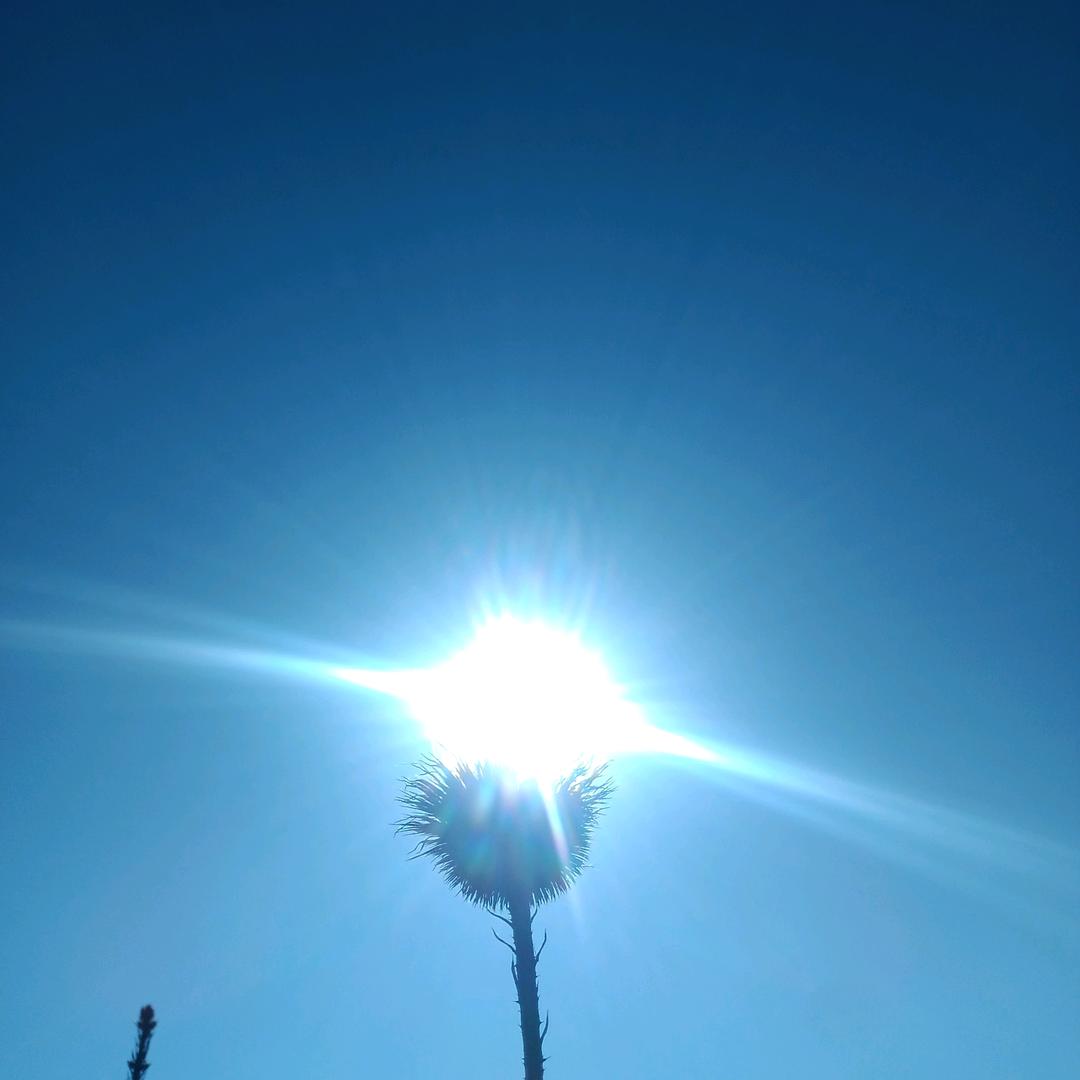 让明天更美好