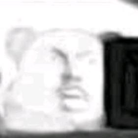 snsn