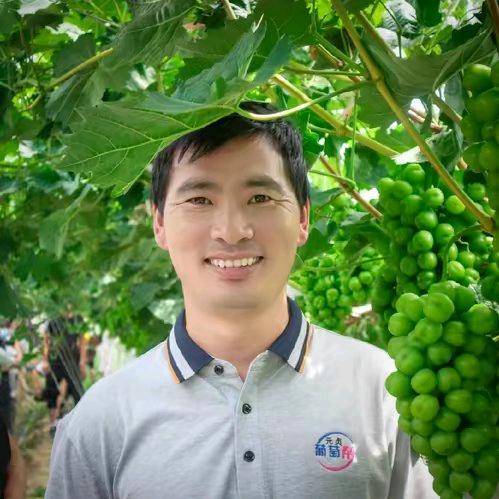 元贞葡萄帮湖南姚哥
