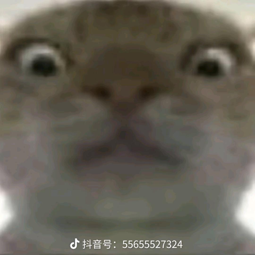 为何羡慕神明
