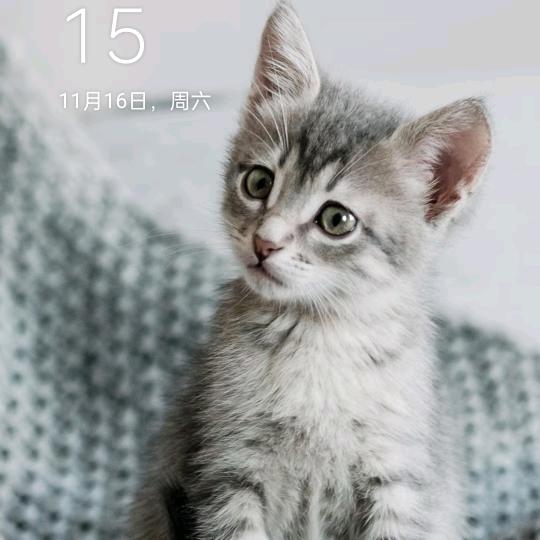 💞ღ᭄ꫛ勇 ꧔ꦿ᭄💞࿐ᩚ