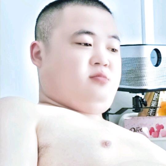 雄宝