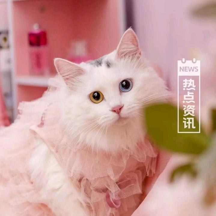 简约