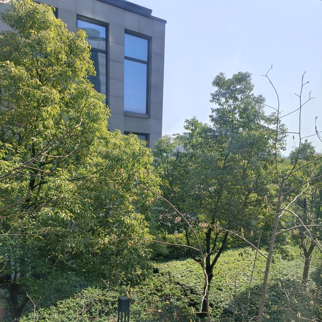 派力特PILOT FOOD官方旗舰店