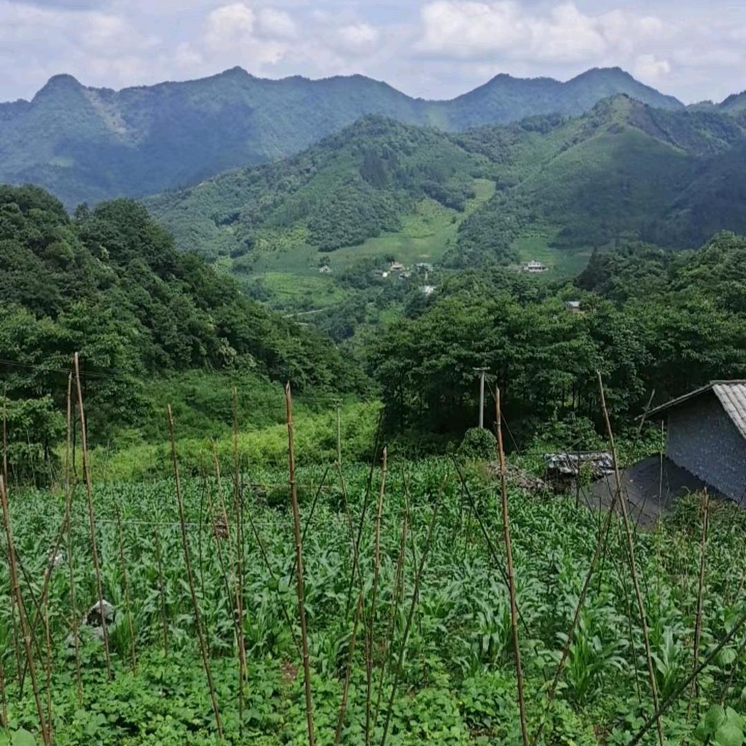 醉红颜发型不乱一切好办。