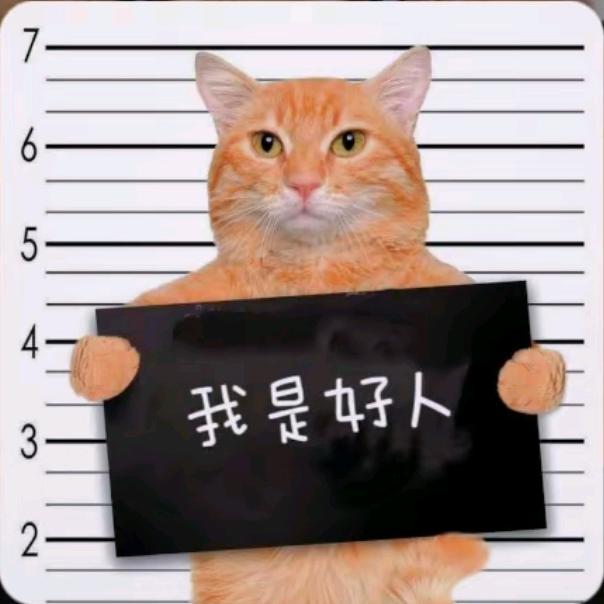 我是好人🤫