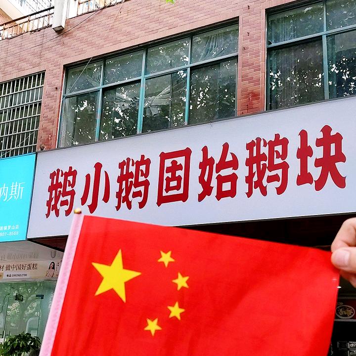 鹅小鹅固始鹅块🦢（全国真空包装邮寄）