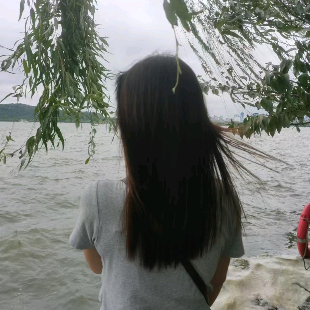 勤劳小蜜蜂