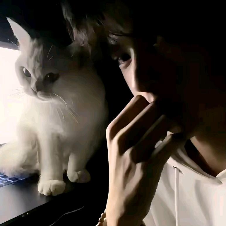 へっぽこやろう