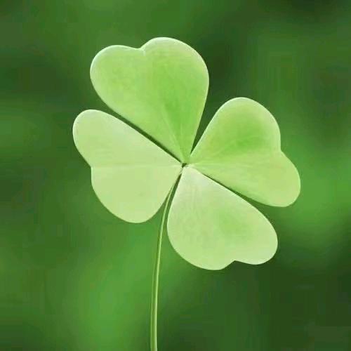 做家具二十多年的龙哥