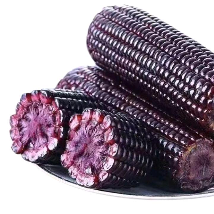 糯玉米专场
