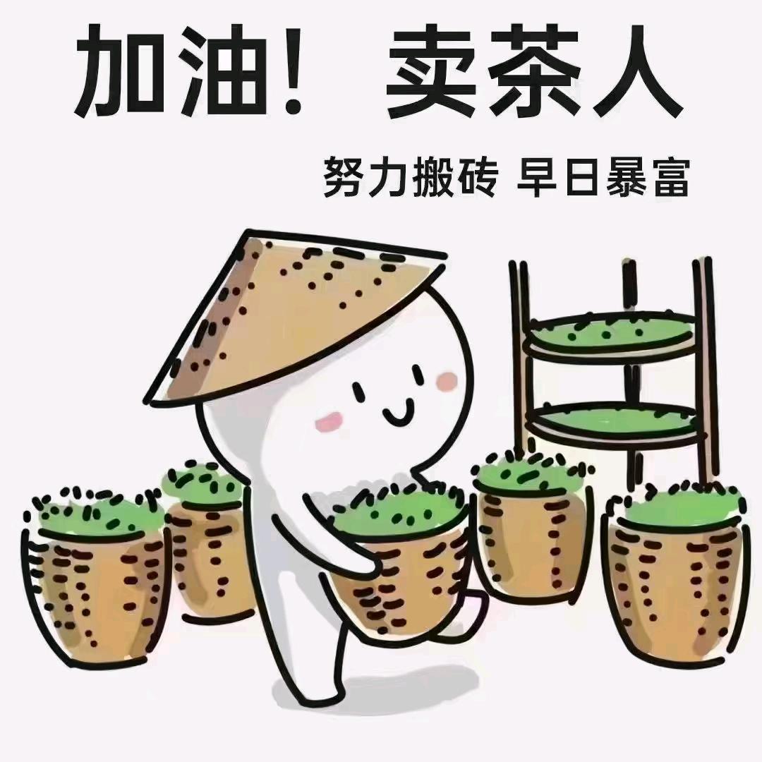 英红九号英德绿茶