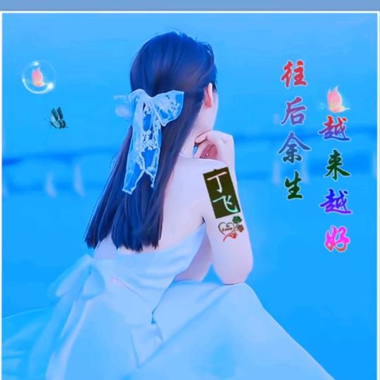 丁飞