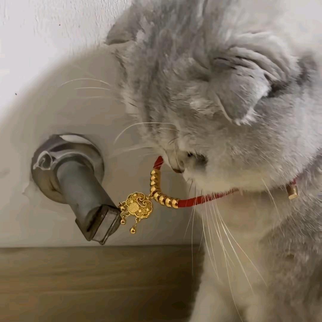 为了