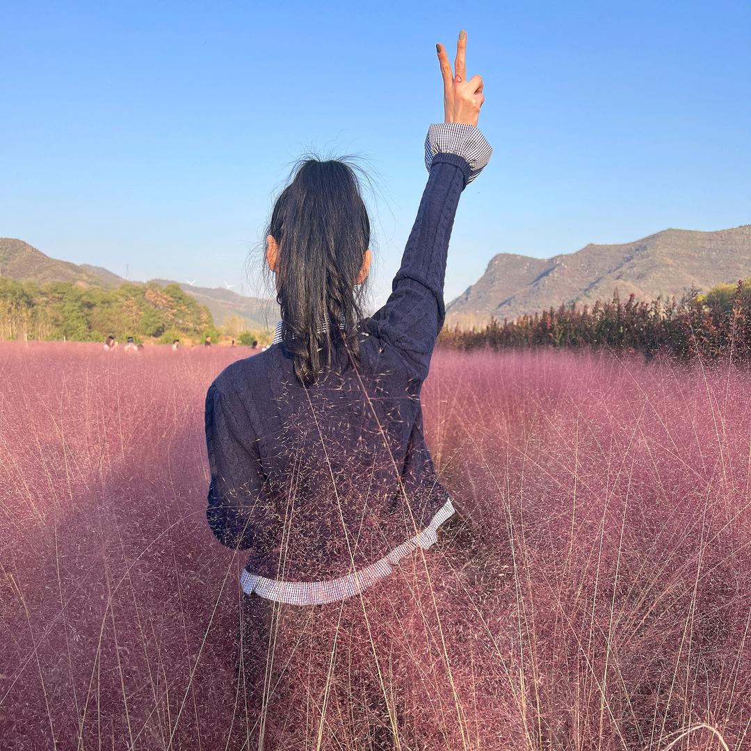 🌺坏坏🌺《拒绝连赞》