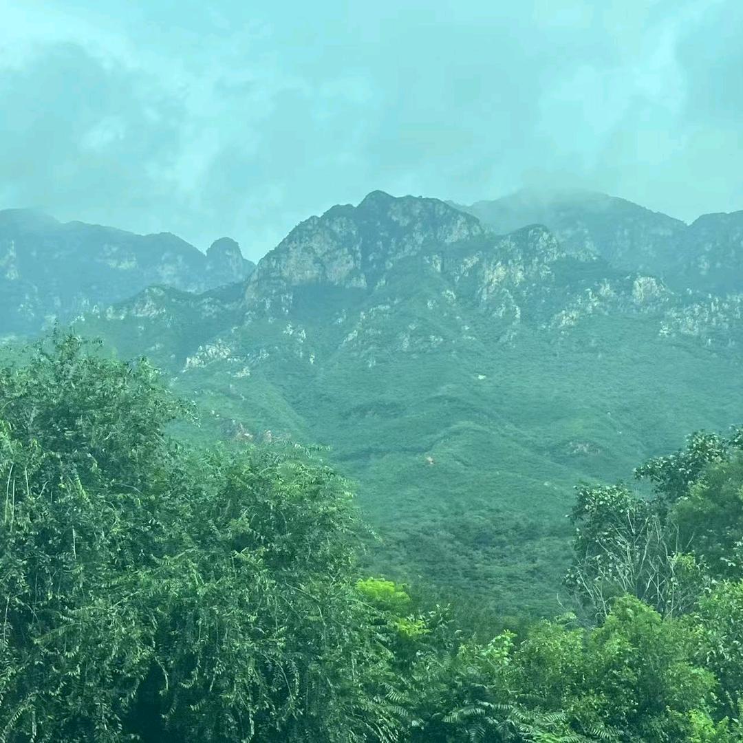 诚心诚意m9(´∀｀