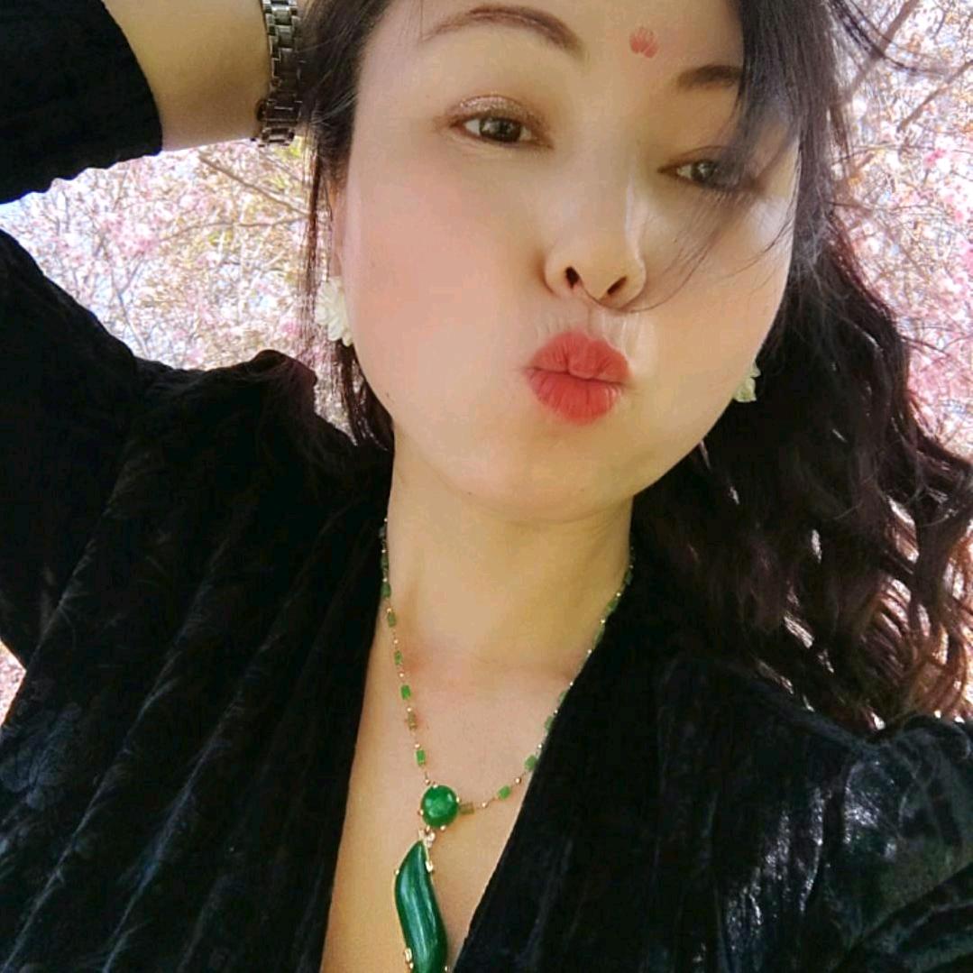 陕西梅梅