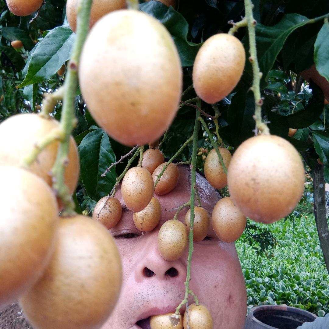 荣术制衣厂