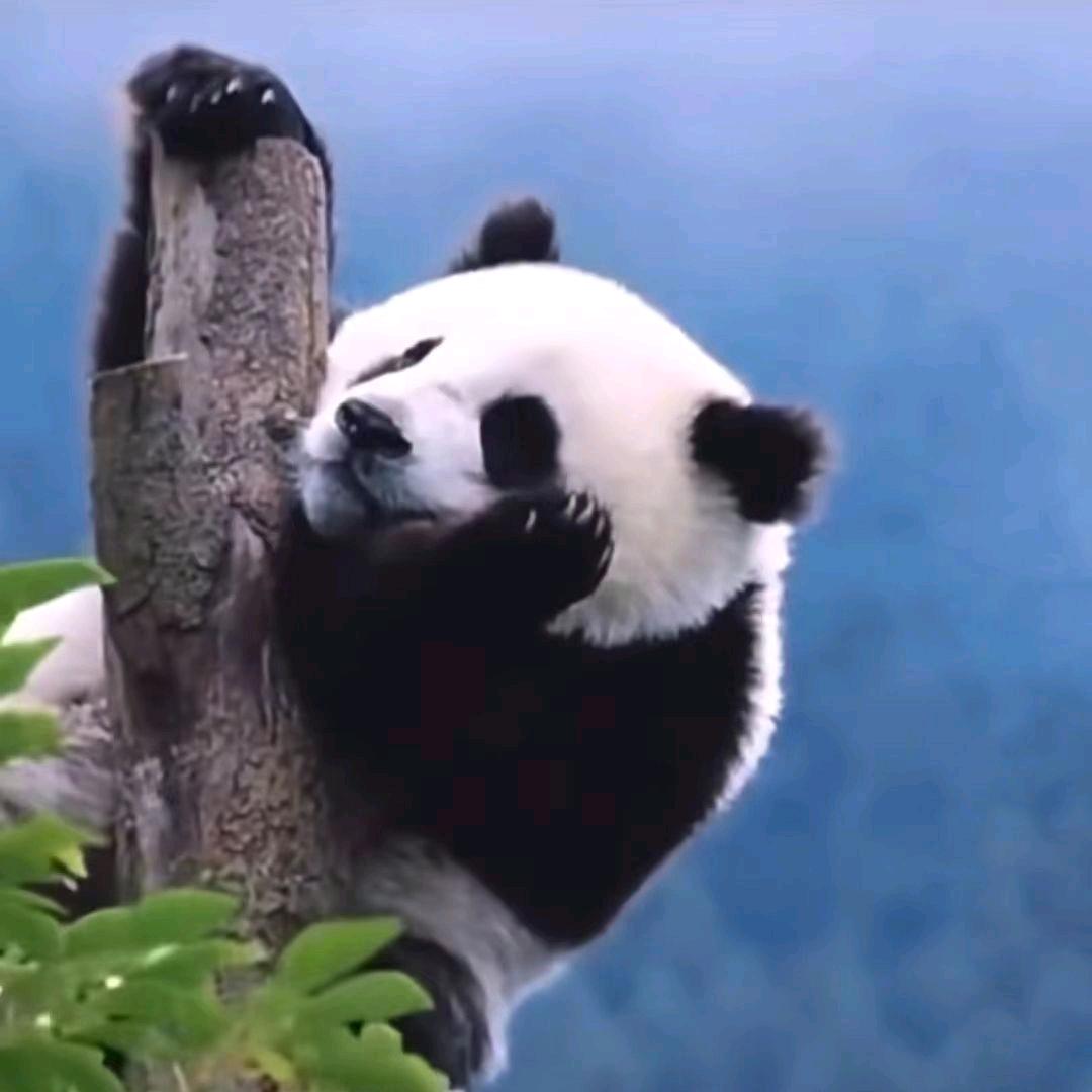 泡沫♛