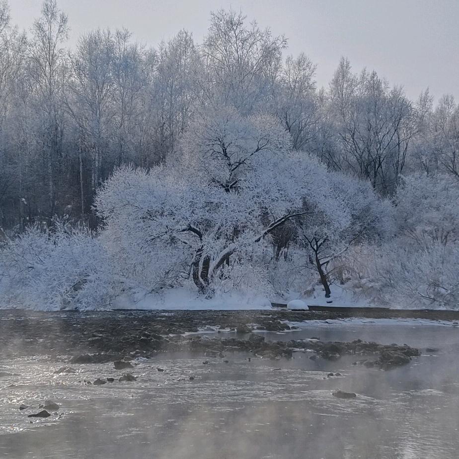 伊春旅游包车张师傅