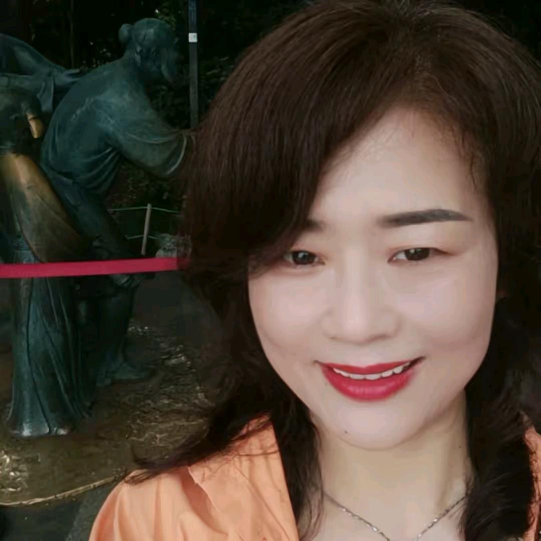 沪上宗阿姨（首播第一天）