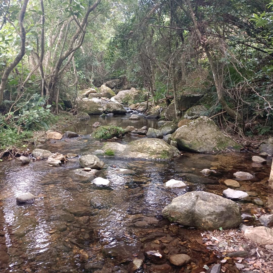 雾里看花