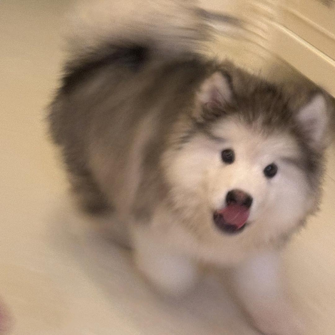 ：）