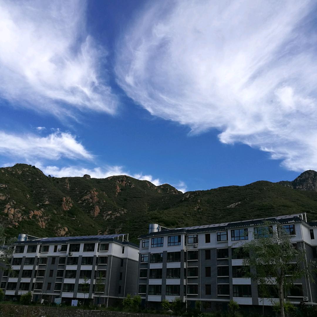 小米粒家