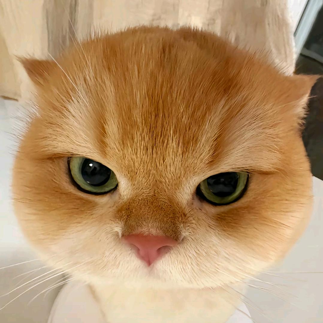 同花顺