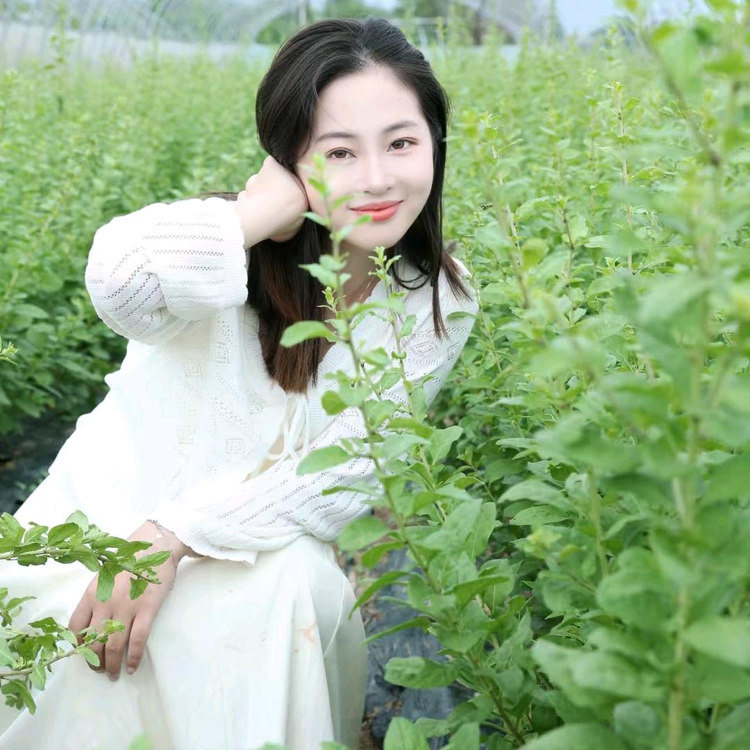 菲菲的有机生活