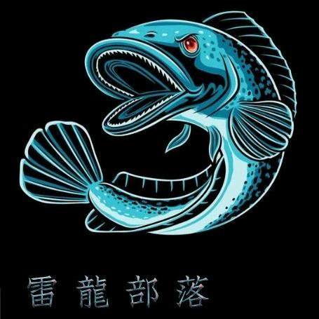 雷龙部落
