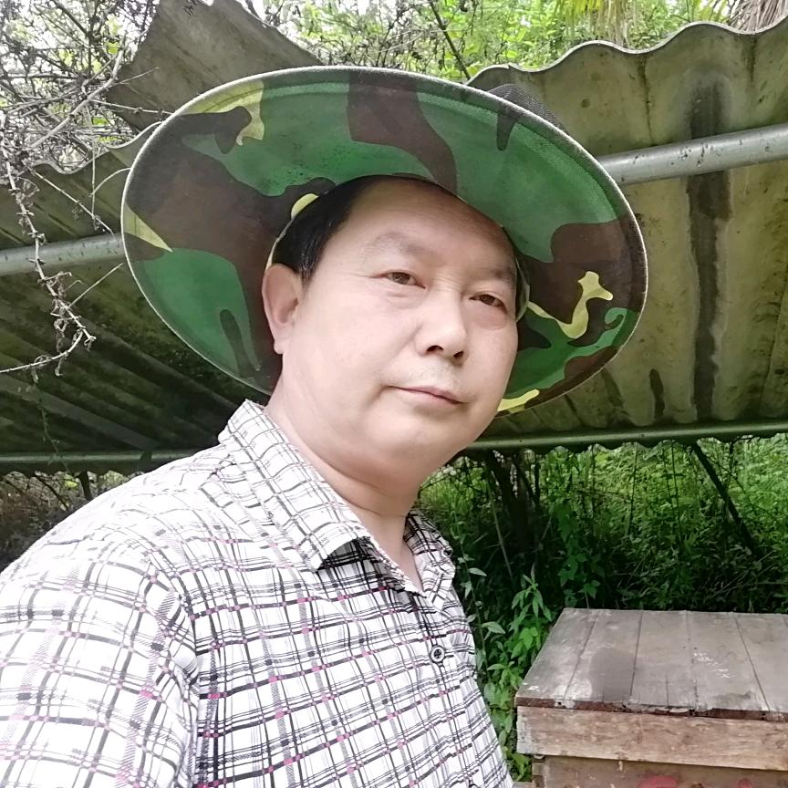 余哥爱养蜂