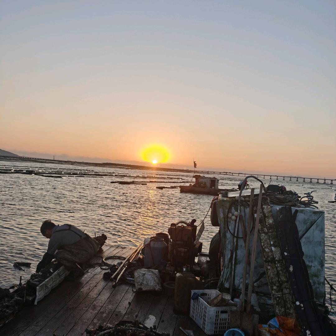 海洋农夫