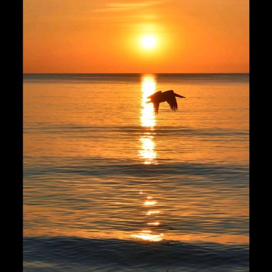 时代不锈钢工程时代不锈钢直播号