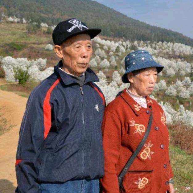 老乐来