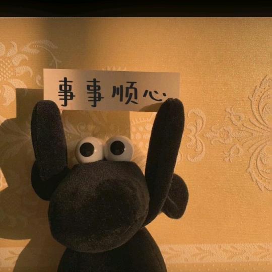 猪皮