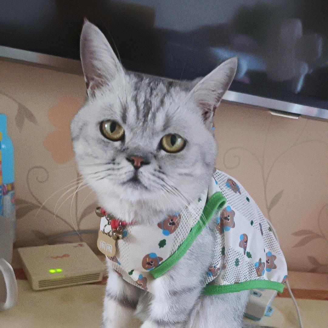 人生还得靠自己