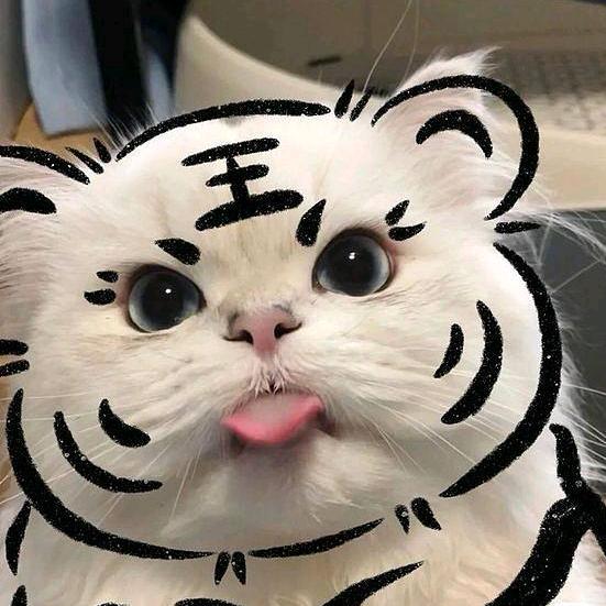 吃饱玩游戏
