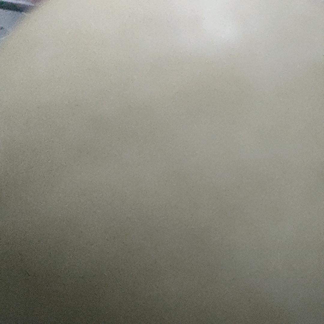 傻子吧