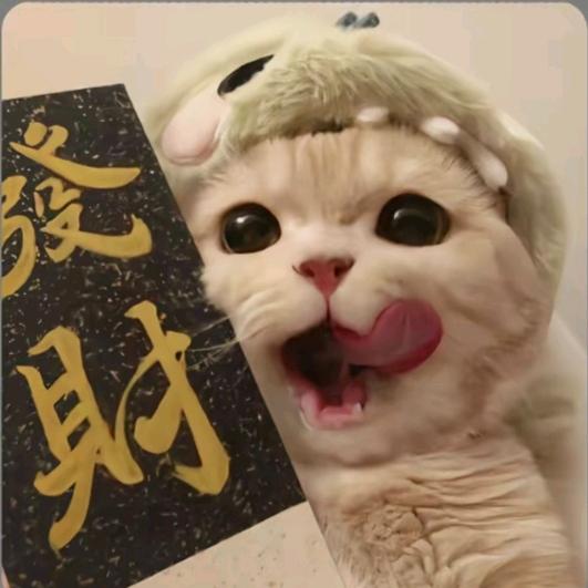冉寒