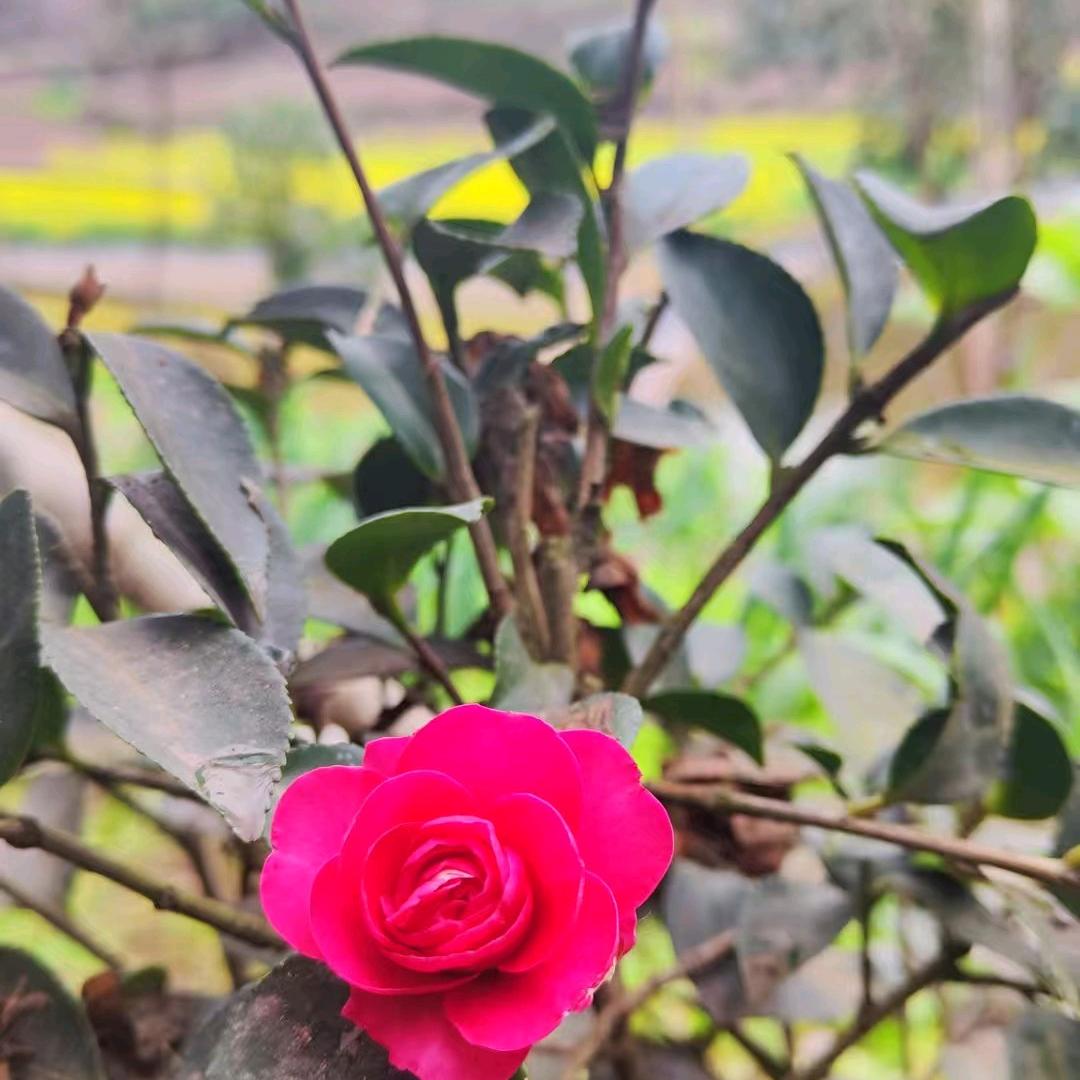 💞慧℘࿐ᩚ