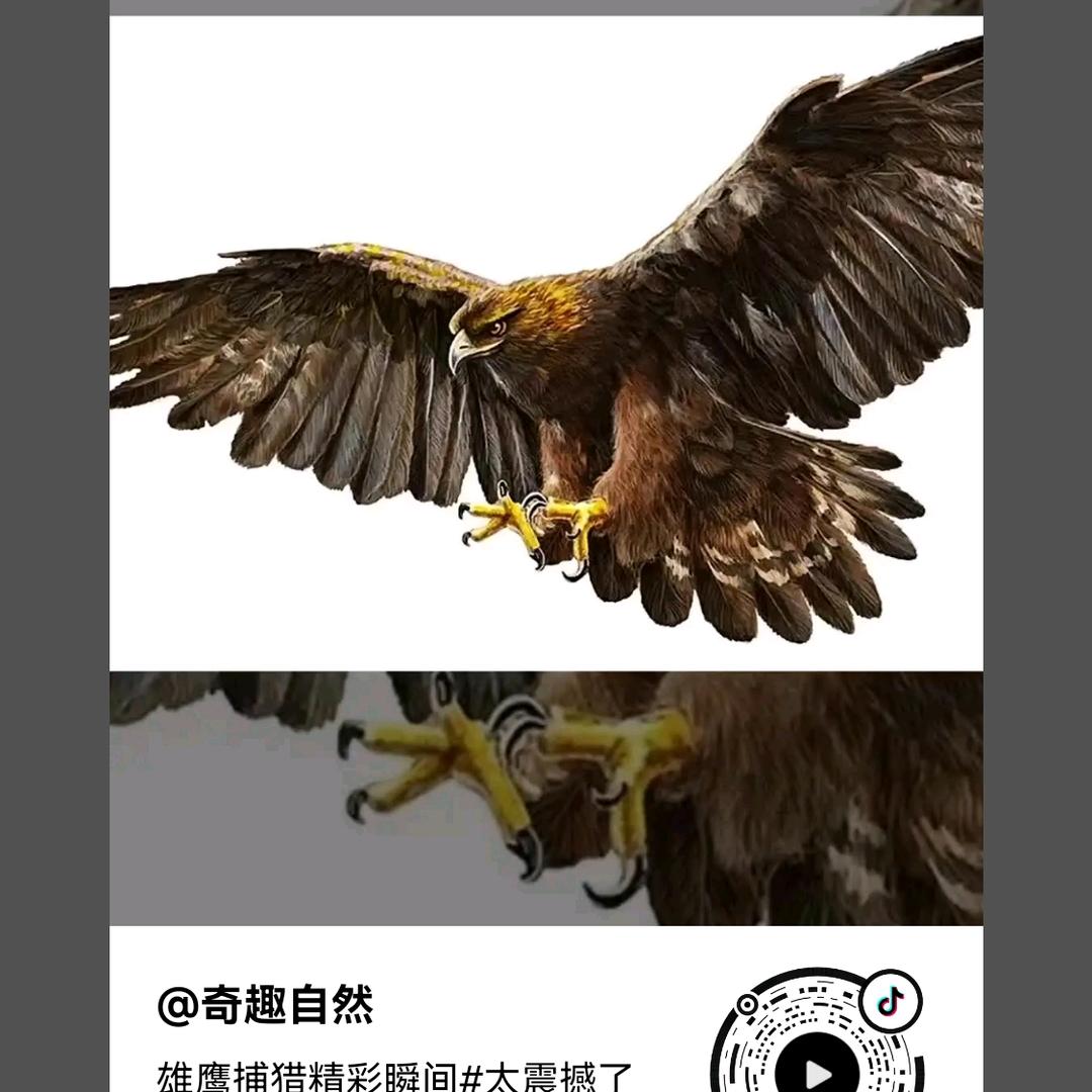 波歌