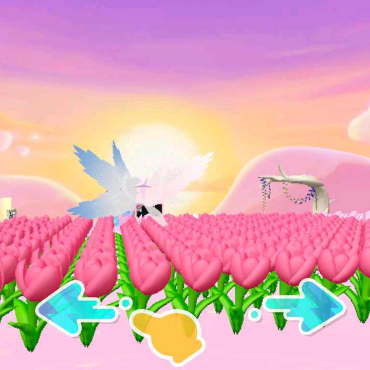 蒋哥
