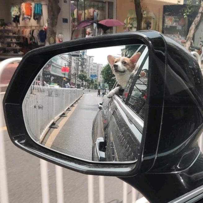 我爱喝七喜