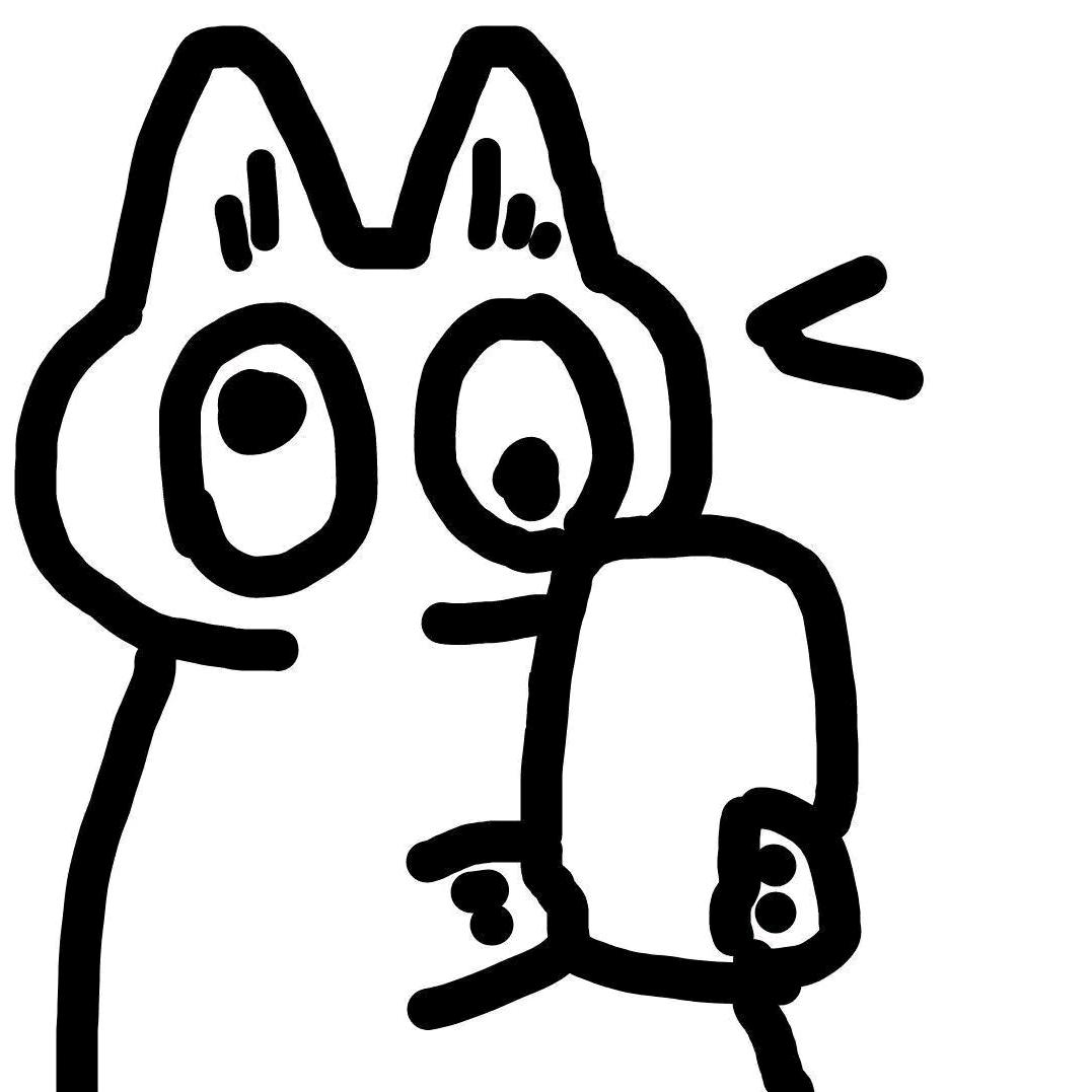 二十.