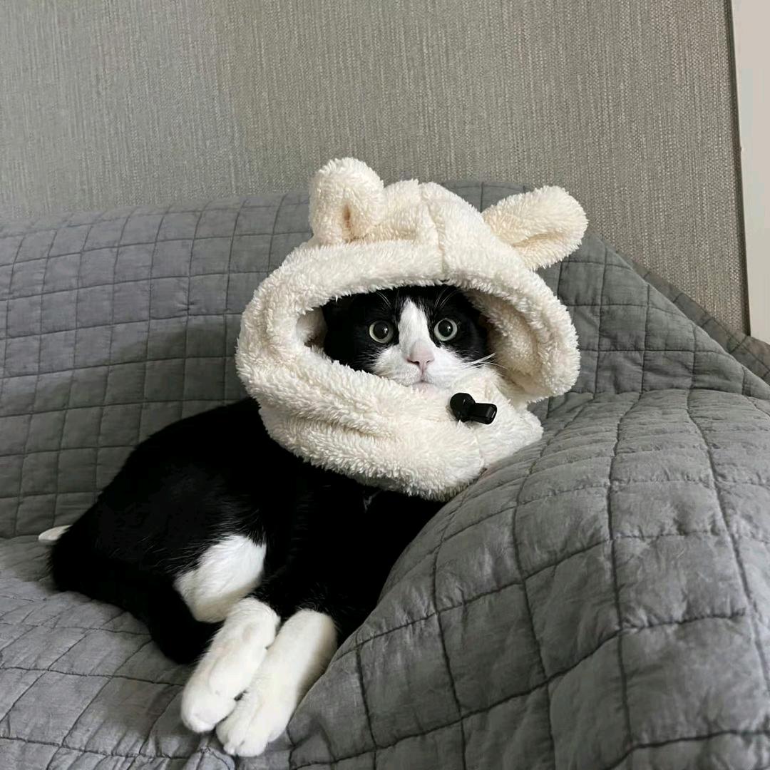 m友友m