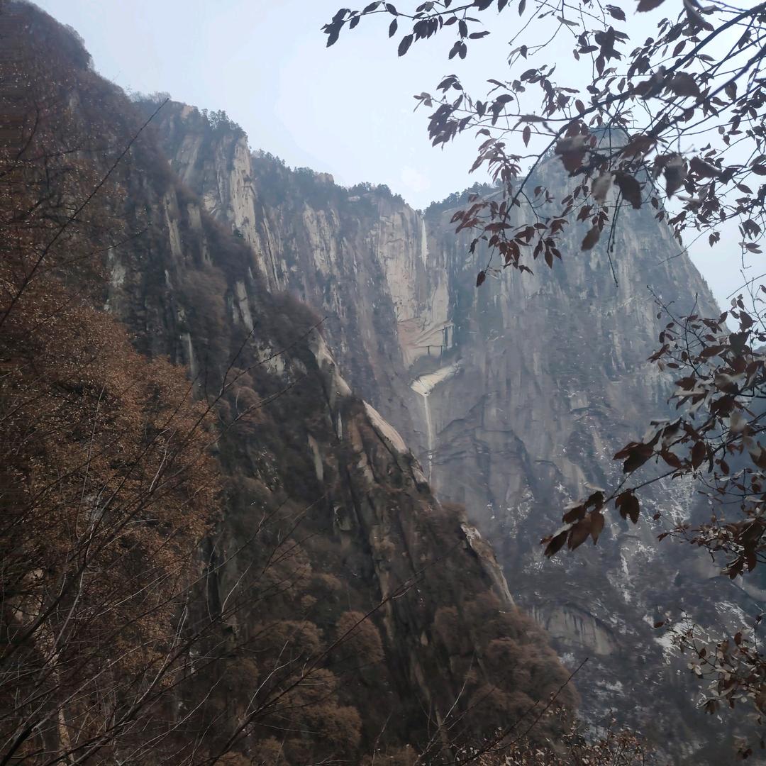 ꧁袁来是你ℒℴѵℯ¹³¹⁴꧂