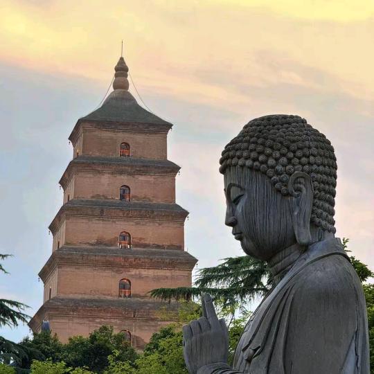 叮叮惠游西安（西安旅游）