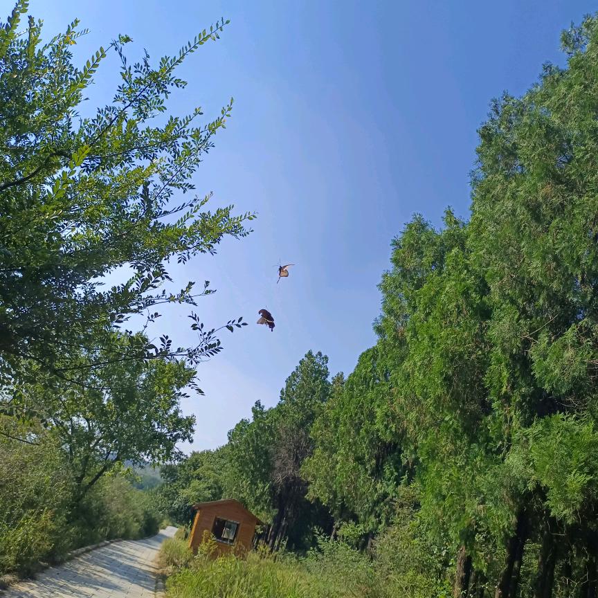 ℳ๓໑ຼₒ₂3ღ᭄ꫛ杨꧔ꦿ᭄ོ⁵²⁰